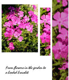 Stitch Painter Full Color Import Plug-In, Win (Digital Download)